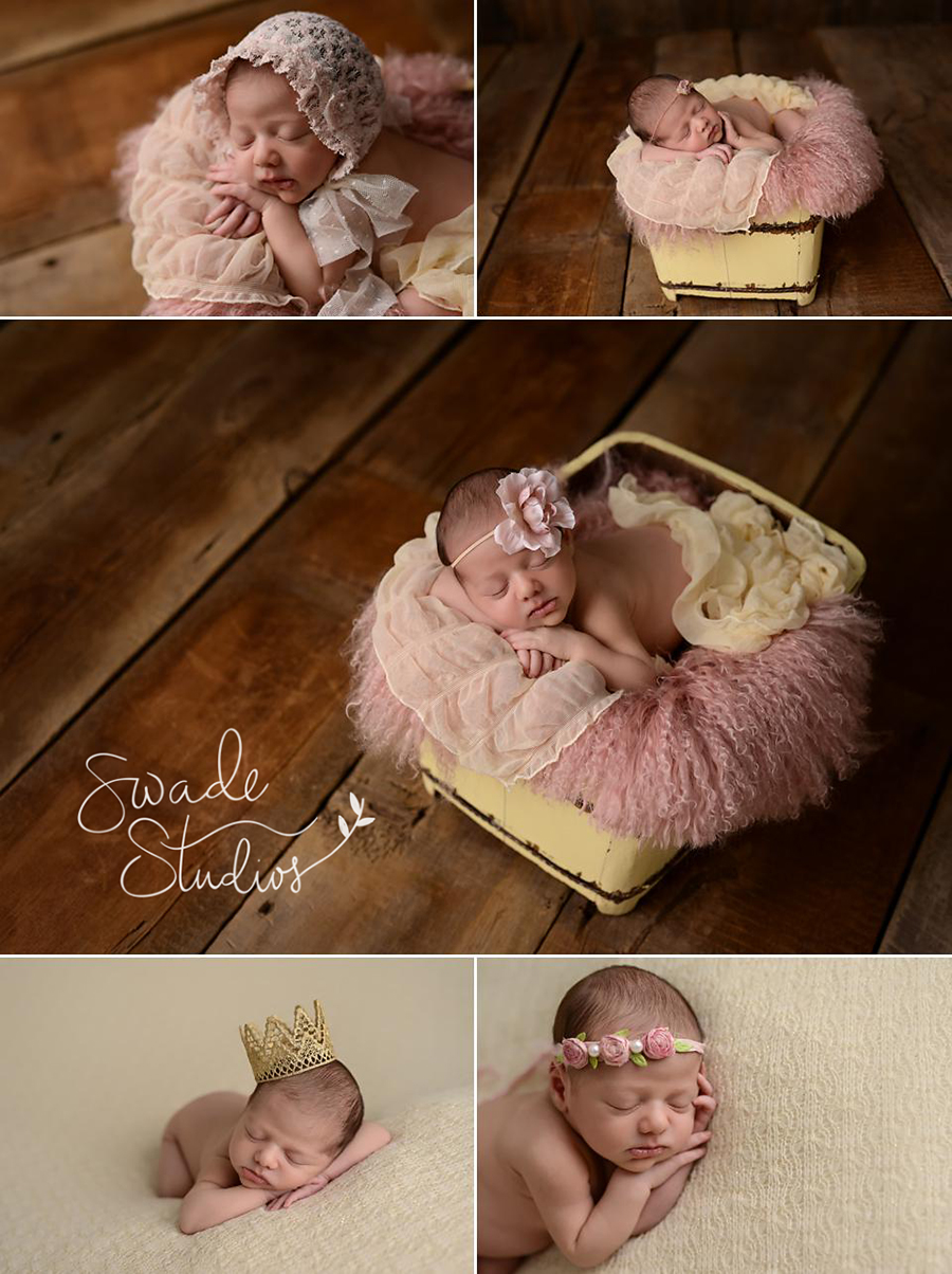 Olathe Newborn Photographer